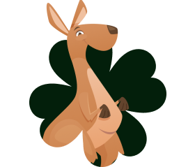 kangaroo